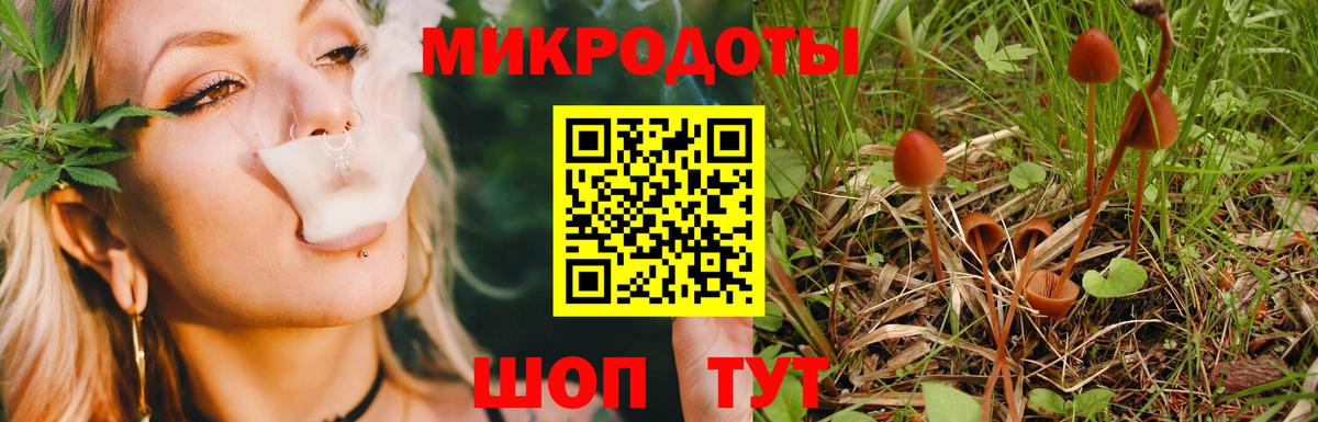 Галлюциногенные грибы GOLDEN TEACHER Кудымкар